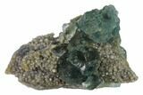Blue-Green Fluorite Crystals on Quartz - China #138077-1